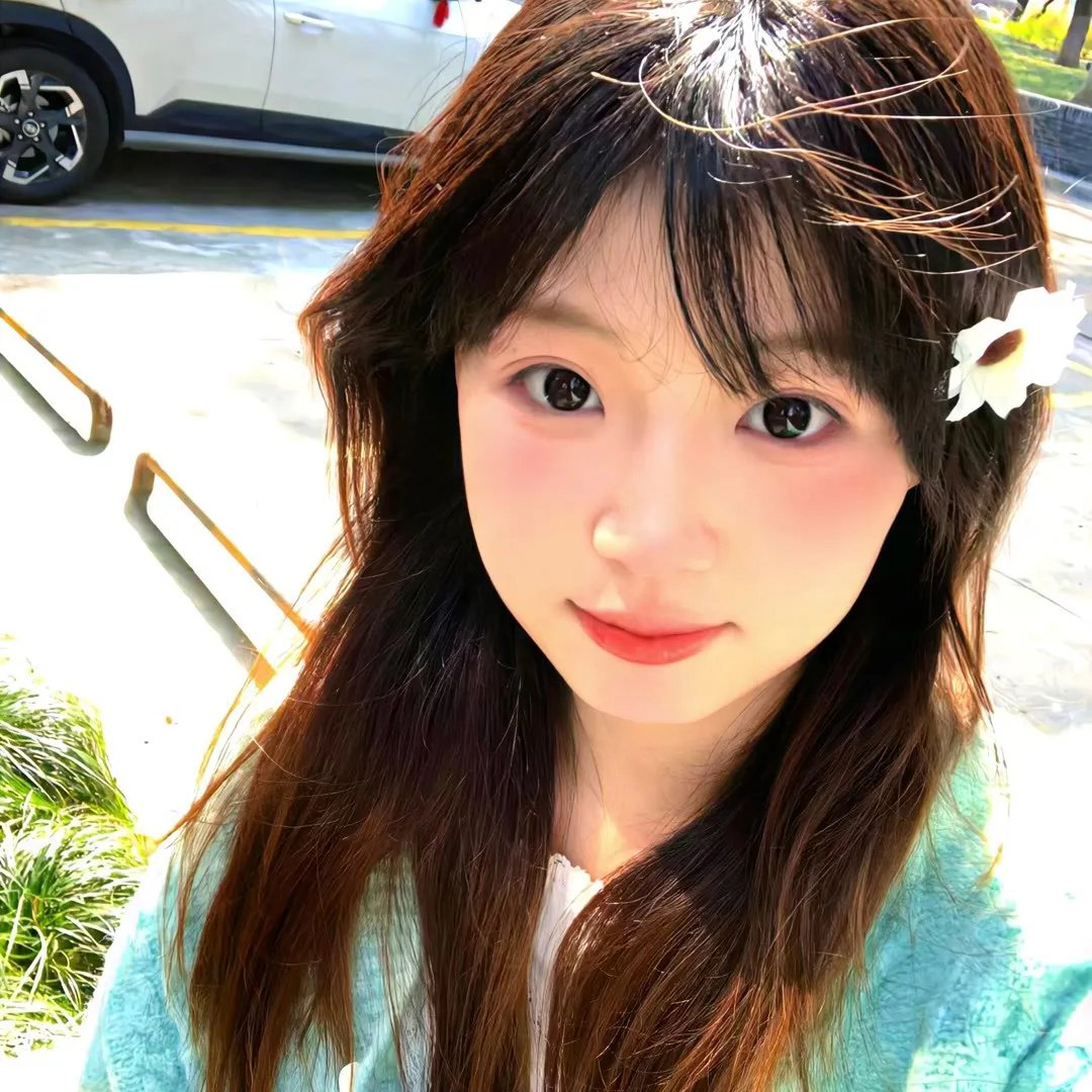 庇护棕榈树下